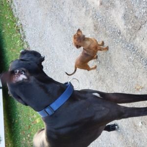 Meet your Posher, Mary